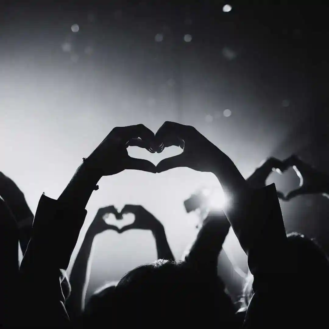 Servicio de aumento de fans y followers