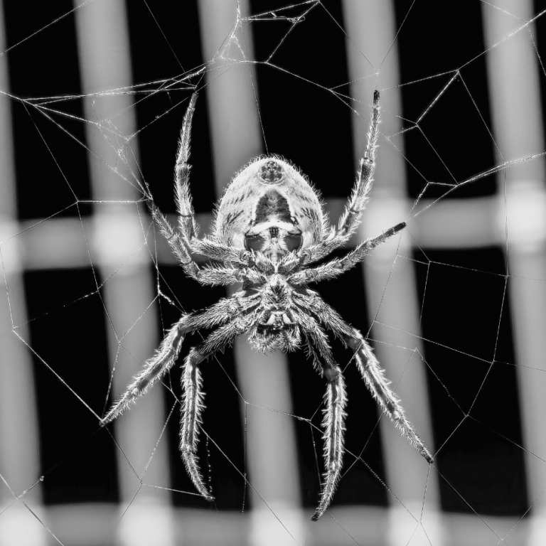 Conversión web, ¿Cómo mejorar?