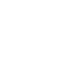 Balvi logo